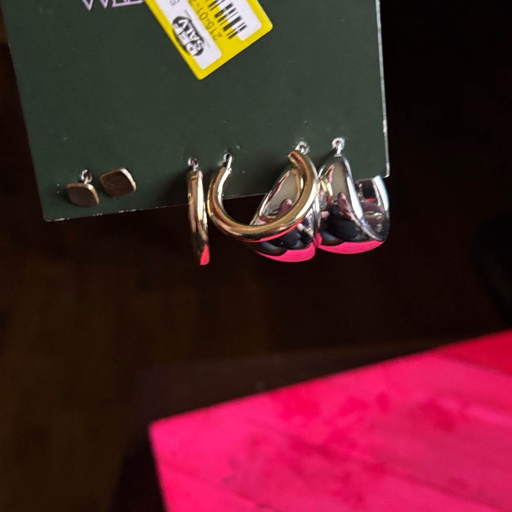 Wild Fable Gold and Silver Hoop Earrings Set